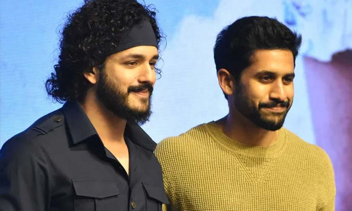 Telugu Crore, Akhil, Akkineni Heroes, Naga Chaitanya, Netflix, Sobhita, Tandel,