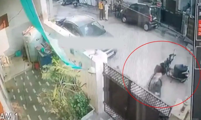 Agra Married Woman Harasses Old Parents For Property Video Viral Details, Lovers Agra Married Woman Harasses Old Parents For Property Video Viral Details, Lovers-TeluguStop.com