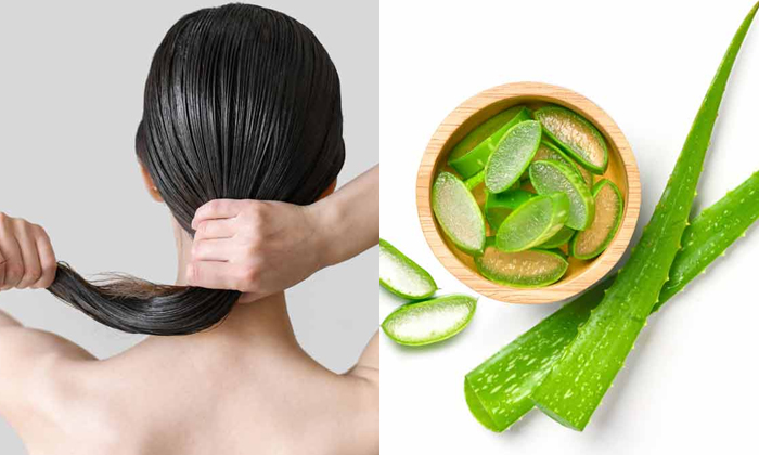  Do You Know How To Make Hair Growth Serum With Aloe Vera Details, Aloe Vera, Ha-TeluguStop.com