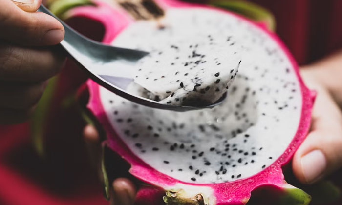 Telugu Eatdragon, Dragonfruit, Tips, Latest-Telugu Health