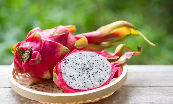  Do You Know What Happens When Overweight People Eat Dragon Fruit? Dragon Fruit,-TeluguStop.com