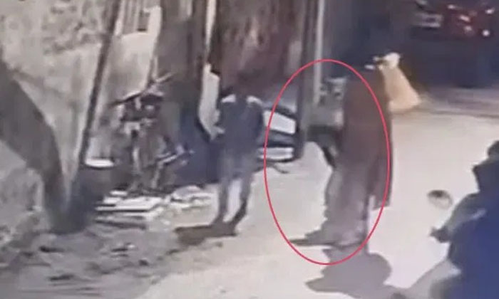 Telugu Attacked, Child, Dogs, Dogsattacked, Mother-Latest News - Telugu