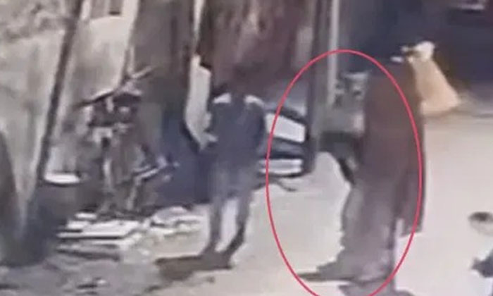 Telugu Attacked, Child, Dogs, Dogsattacked, Mother-Latest News - Telugu