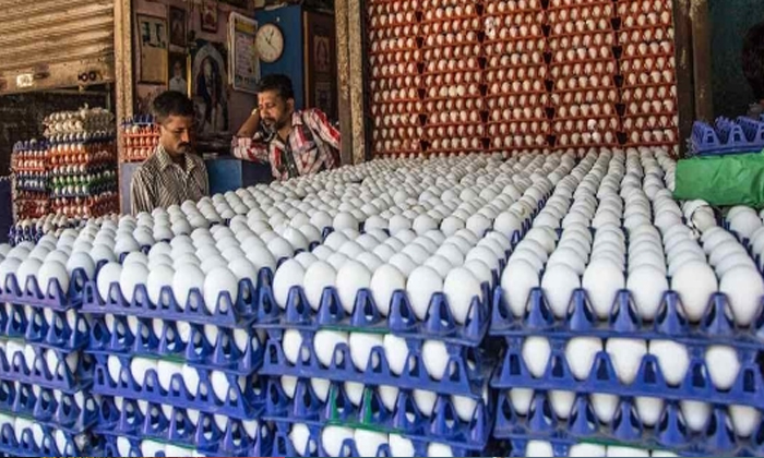  Egg Prices Skyrocket, , Egg Prices, Eggs, Egg, Christmas, New Year-TeluguStop.com