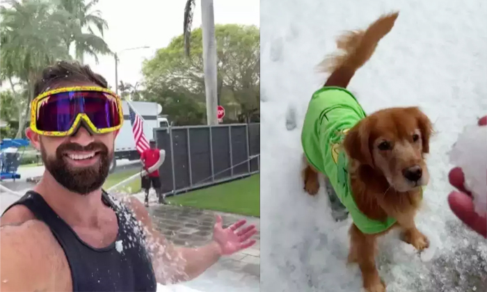  Florida Man Turns Garden Into Snow Wonderland For Dogs Video Viral Details, Dogs-TeluguStop.com