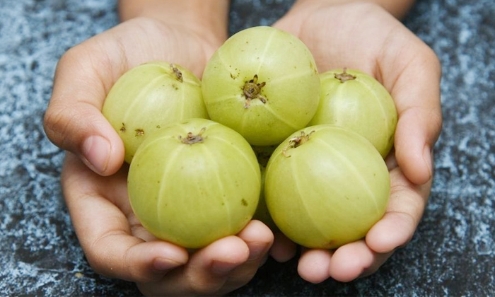  Health Benefits Of Eating Amla Daily Details, Amla, Amla Health Benefits, Lates-TeluguStop.com