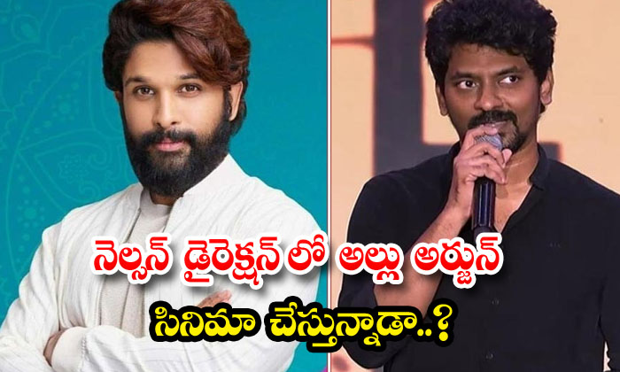  Is Allu Arjun Doing A Movie Under Nelson's Direction , Tamil Film Industry , Di-TeluguStop.com