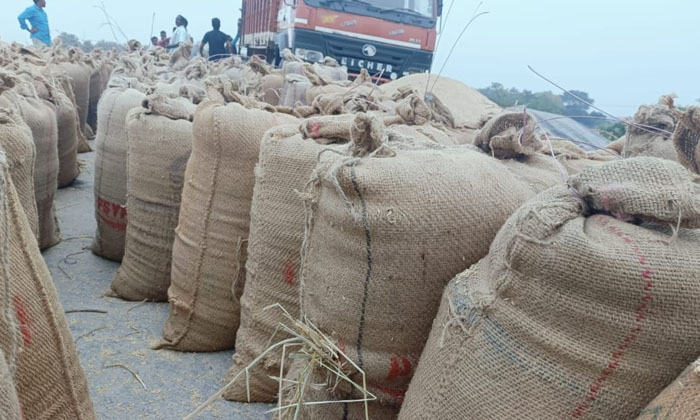  Low-quality Gone Bags Are A Waste Of Rice , Department Of Civil Supplies , Rice-TeluguStop.com