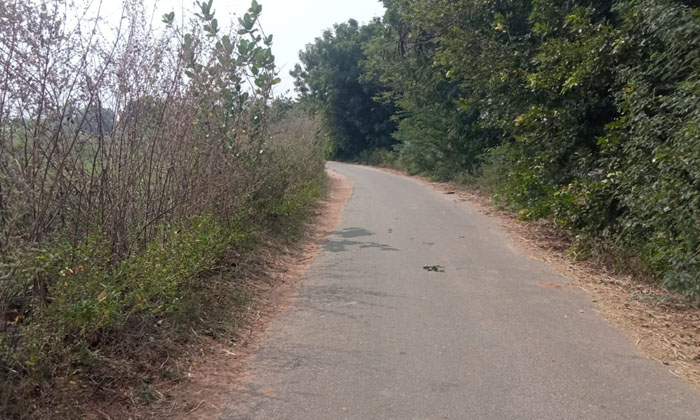  Mote Mandal Roads Are Dangerous , Mote Mandal , Sirikonda-TeluguStop.com