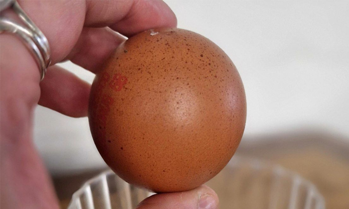  Perfectly Spherical One-in-a-billion Egg Sold For Rs 21000 In Uk Details, Spheri-TeluguStop.com