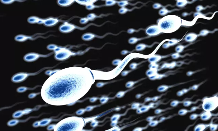  Pumpkin May Help Improve Male Fertility! Pumpkin, Pumpkin Health Benefits, Male-TeluguStop.com