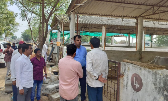  Special Attention Should Be Given To Rajanna Cows Collector Sandeep Kumar Jha, S-TeluguStop.com