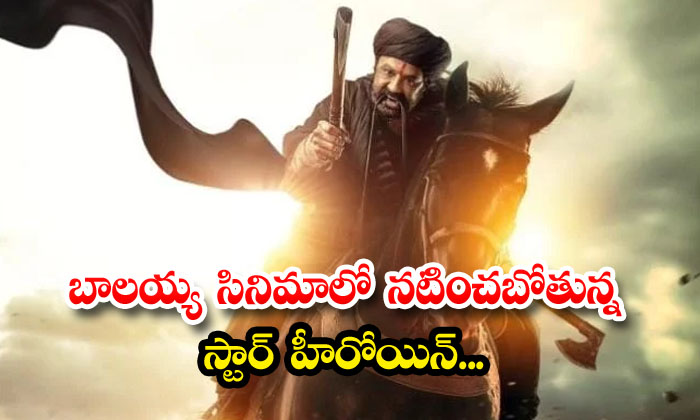  The Star Heroine Who Is Going To Act In Balayya's Movie , Telugu Film Industry ,-TeluguStop.com