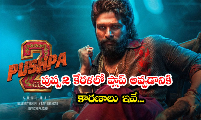  These Are The Reasons Why Pushpa 2 Flopped In Kerala , Pushpa 2 Movie , Kerala ,-TeluguStop.com