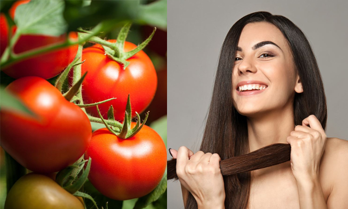  This Tomato Mask Helps To Get Rid Of Hair Fall Quickly Details, Hair Fall, Hair-TeluguStop.com