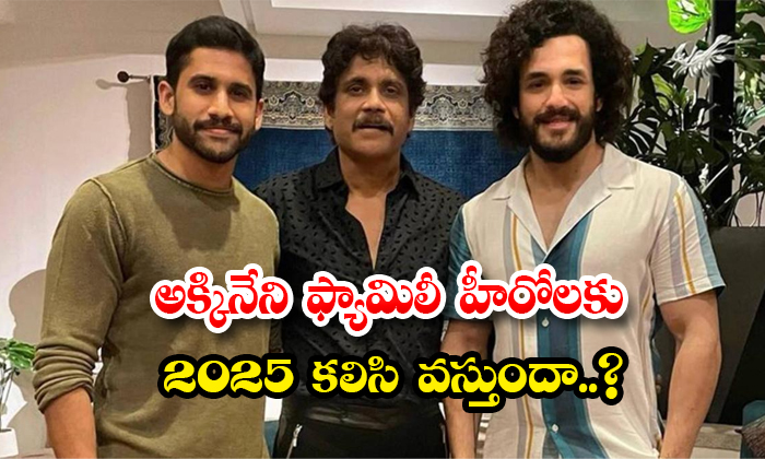  Will 2025 Come Together For Akkineni Family Heroes Details, Akkineni Family, Akk-TeluguStop.com