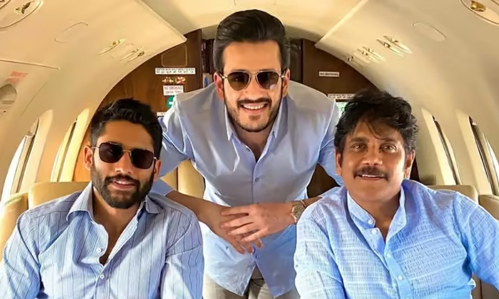  Will 2025 Come Together For Akkineni Family Heroes Details, Akkineni Family, Akk-TeluguStop.com