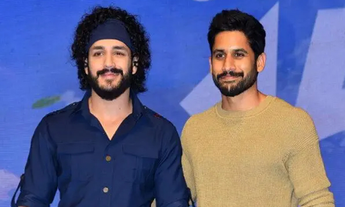 Telugu Akkineni Akhil, Akkineni, Akkineni Heroes, Naga Chaitanya, Tollywood-Movi