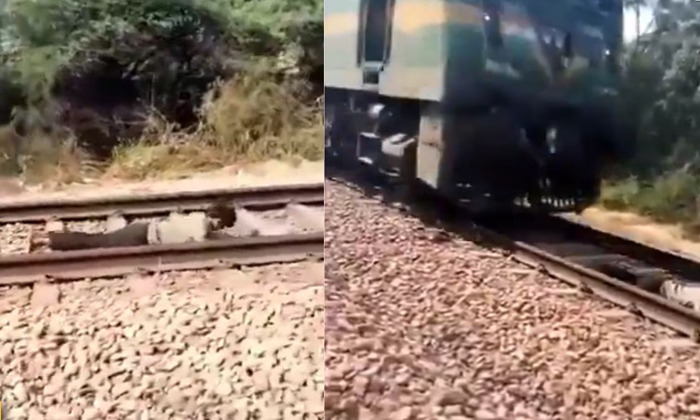  Boy Laydown On Train Tracks And Then Train Passed Video Viral Details, Man, Trac-TeluguStop.com