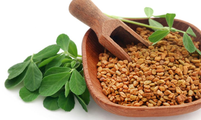  Do You Know What Happens When Diabetics Eat Fenugreek Leaves? Fenugreek Leaves,-TeluguStop.com