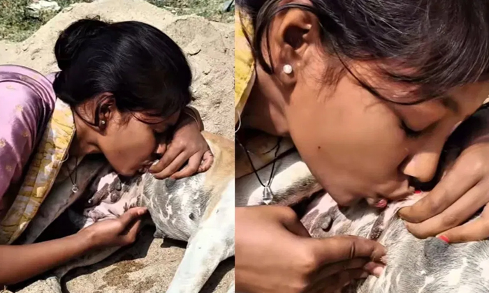  Girl Drinking Female Stray Dog Milk Bizzare Video Viral Details, Girl, Drink, Fe-TeluguStop.com