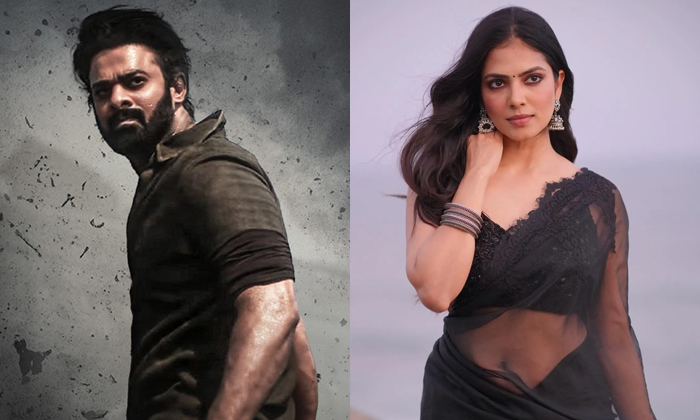  Malavika Mohanan Reveals She Missed A Role In Prabhas Salaar Details, Malavika M-TeluguStop.com