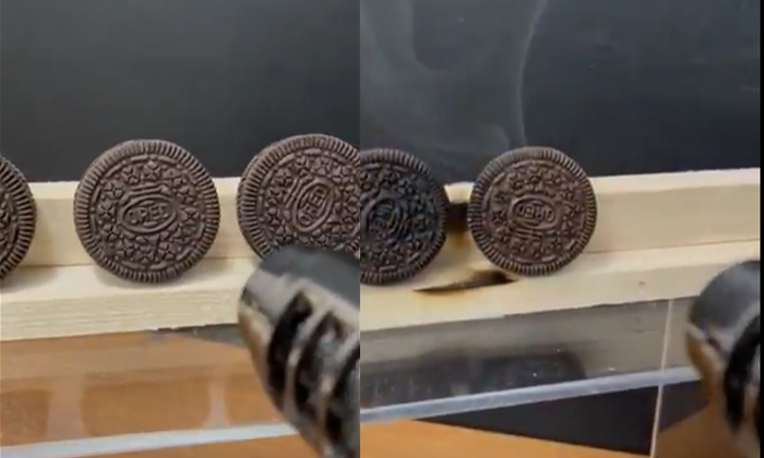  Oreo Biscuit Video Going Viral.. Is That Biscuit That Dangerous?, Social Media,-TeluguStop.com