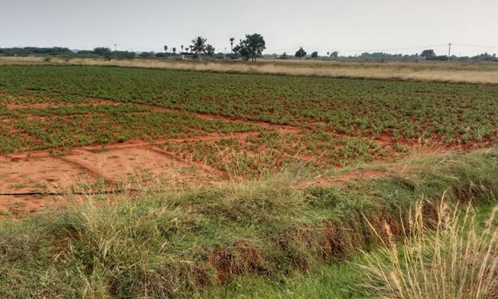  Person Who Threatened To Sell Land With Forged Documents Was Arrested, Person ,t-TeluguStop.com