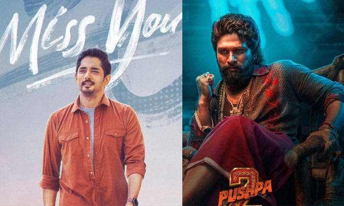  Siddharth Miss You Movie Collections Details, Siddarth, Miss You Movie, Tollywoo-TeluguStop.com