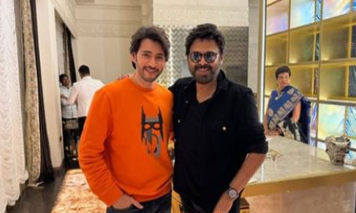 These Star Heroes Are No Haters In Industry Details Inside Goes Viral In Social These Star Heroes Are No Haters In Industry Details Inside Goes Viral In Social-TeluguStop.com