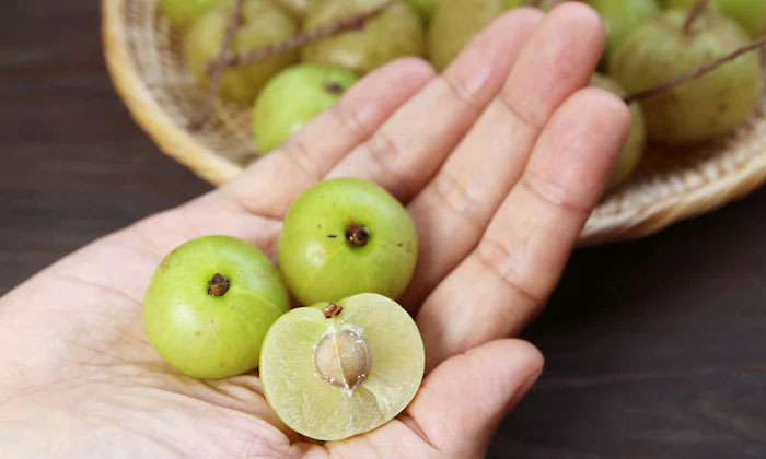 Telugu Benefitsamla, Amla, Amlaseeds, Amla Seeds, Tips, Latest-Telugu Health