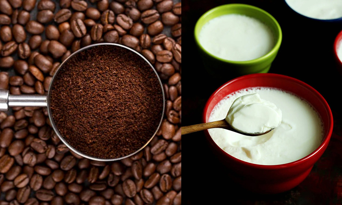 Telugu Caffeine, Coffee, Coffee Benefits, Curd, Dry, Care, Care Tips, Fall, Prob