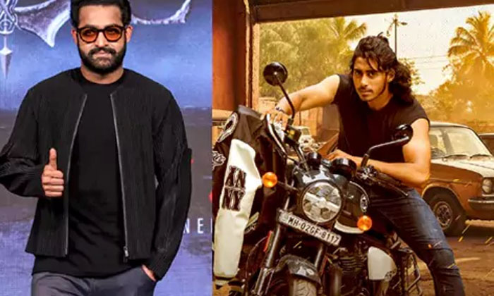 Telugu Balayya Babu, Nandamuri Enter, Mokshagna, Nandamuri, Successors-Movie Telugu Balayya Babu, Nandamuri Enter, Mokshagna, Nandamuri, Successors-Movie