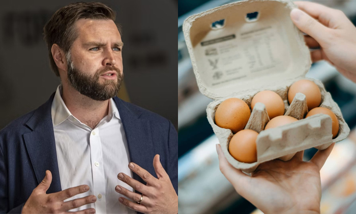  Egg Costs Predicted To Rise In Us Despite Jd Vance Claiming Otherwise Details, E-TeluguStop.com