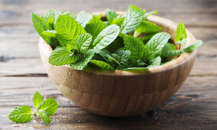  Here The Amazing Health Benefits Of Mint Leaves Details, Mint Leaves, Mint Leav-TeluguStop.com