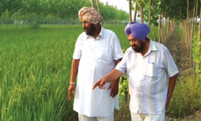 Telugu Farmlands, Gold Nris, Green Punjab, Punjab, Senior-Telugu Top Posts