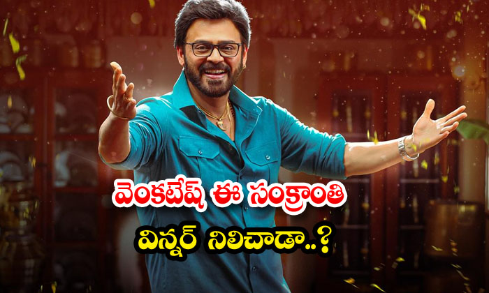  Is Venkatesh The Winner Of This Sankranti ,sankrathiki Vastunnnam, Venkatesh, Sa-TeluguStop.com