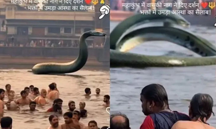  Mahakumbhamela 100 Feet Snake Live Twist In The Viral Video, Giant Snake, Mahak-TeluguStop.com