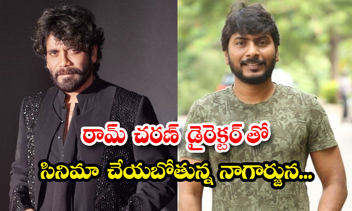  Nagarjuna Is Going To Do A Movie With Ram Charan Director Details, Nagarjuna, Ak-TeluguStop.com