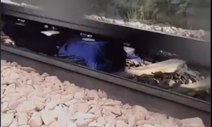  Shocking To See What Happened Next To A 15-year-old Boy Who Slept Under A Train-TeluguStop.com