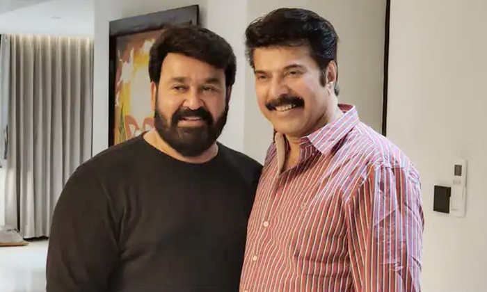 Telugu Balakrishna, Chiranjeevi, Mammootty, Mohan Lal, Nagarjuna, Senior Heroes,