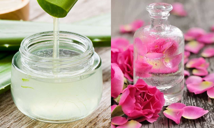 Telugu Aloevera Gel, Tips, Blemishes, Dark Spots, Remedy, Latest, Rose, Skin Car