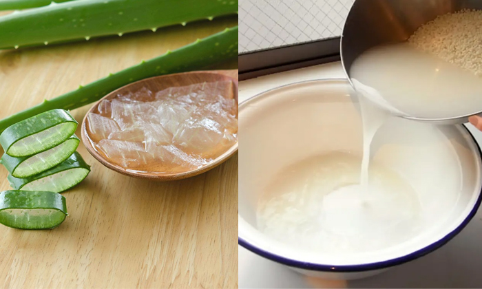 Telugu Aloevera, Curry, Care, Care Tips, Fall, Serum, Healthy, Natural Serum, Th