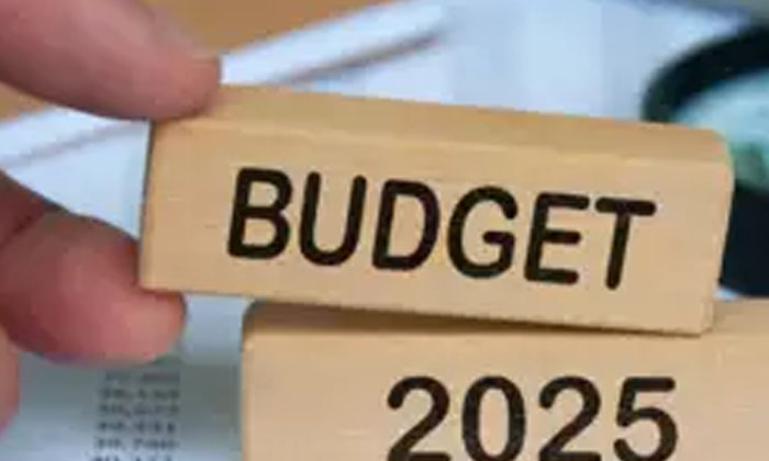  Union Budget 2025 Nris Proposes Easier Tax Payments And E-verification , Narendr-TeluguStop.com