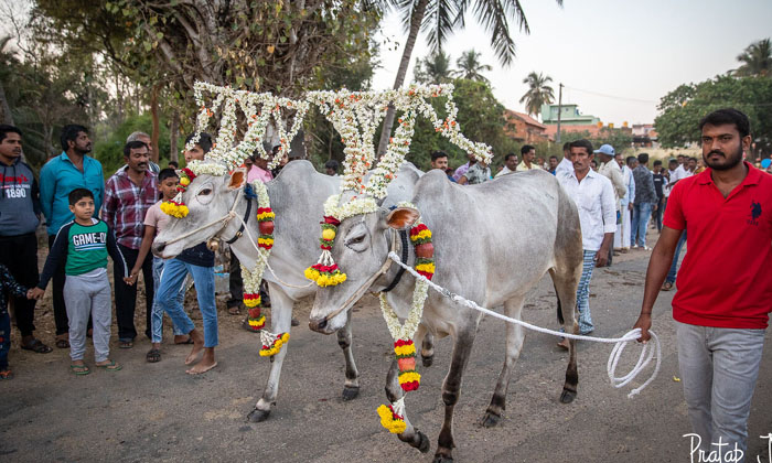  What Was Written On The Door Of The Crazy Sankranti, Sankranti, Theft, Warning N-TeluguStop.com