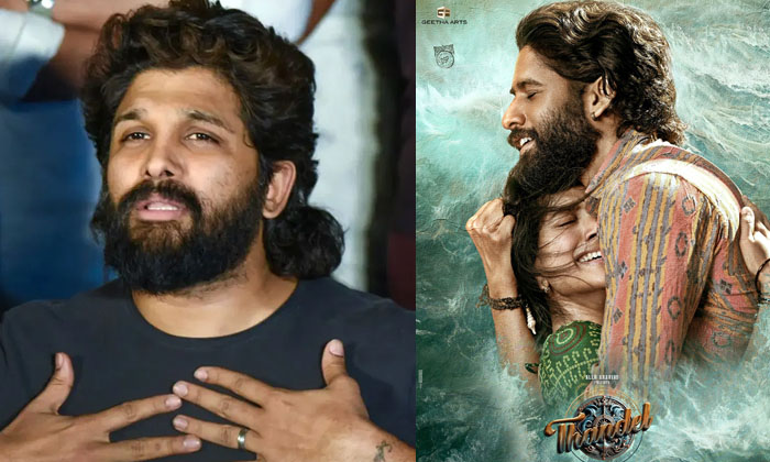  Allu Arjun Fans Support To Nagachaitanya Thandel Movie Details Inside Goes Vira-TeluguStop.com