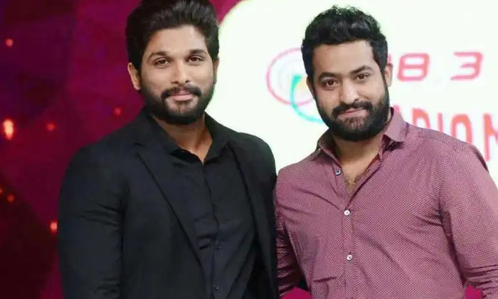  Allu Arjun Ntr Facing Same Type Of Issues Details Inside Goes Viral In Social-TeluguStop.com