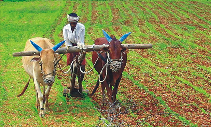 Telugu Ap Farmers, Ap, Cm Chandrababu, Bus Scheeme, Tdp, Ugadi, Bus Journey-Poli