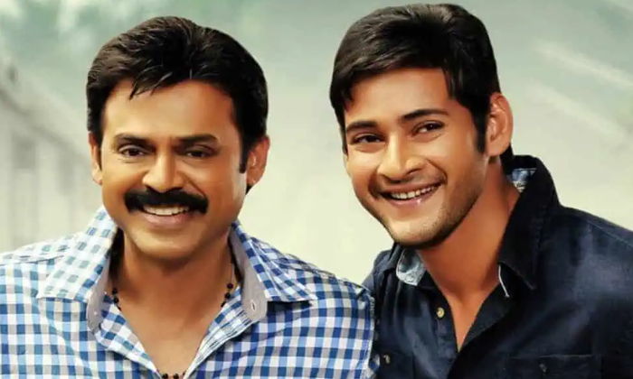  Mahesh Babu Congratulates Sankranthiki Vasthunam Team Venkatesh, Mahesh Babu, Sa-TeluguStop.com