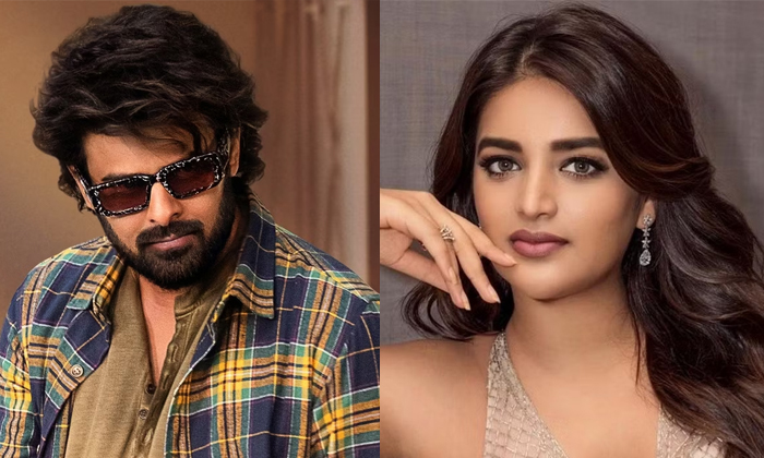 Telugu Nidhi Agarwal, Nidhiagarwal, Pawan Kalyan, Prabhas, Raaja Saab-Movie